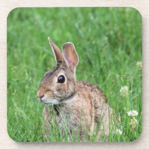Bunny Getränkeuntersetzer