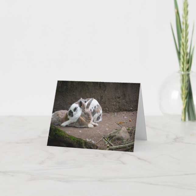 Bunny Karte (Vorderseite)
