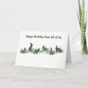 Bunny Meadow Card (Geburtstag) Karte