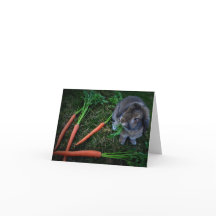 Bunny Munches Carrots / Notecard