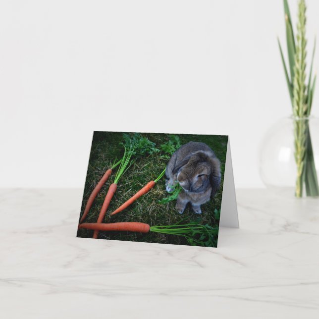 Bunny Munches Carrots / Notecard Karte (Vorderseite)