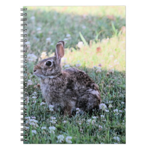 Bunny Notizblock