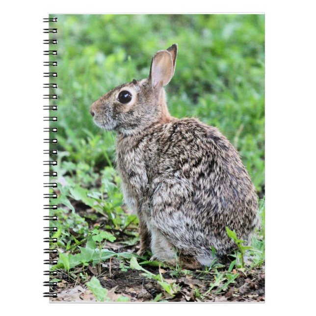 Bunny Notizblock (Vorderseite)