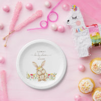 Bunny Rabbit Baby Shol Teller
