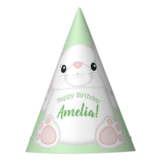 Bunny Rabbit Birthday Party Grün Partyhütchen (Vorderseite)