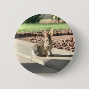 Bunny Rabbit Foto von Easter Spring Button