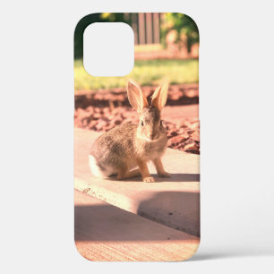 Bunny Rabbit Foto von Easter Spring Case-Mate iPhone Hülle