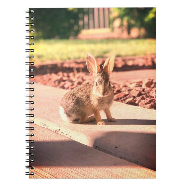 Bunny Rabbit Foto von Easter Spring Notizblock (Vorderseite)