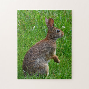 Bunny Rabbit Jigsaw Puzzle
