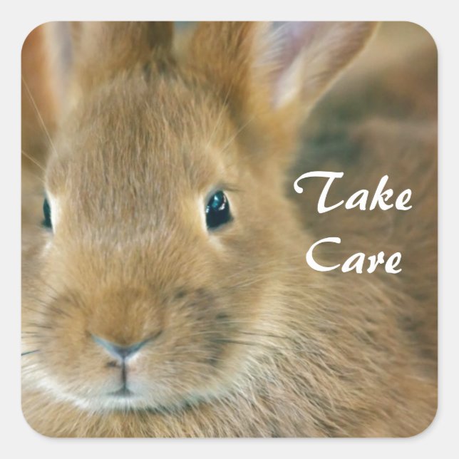 Bunny Rabbit Quadratischer Aufkleber (Vorderseite)