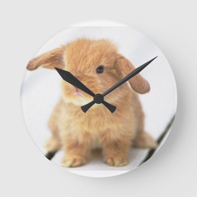 Bunny Rabbit Runde Wanduhr (Vorderseite)