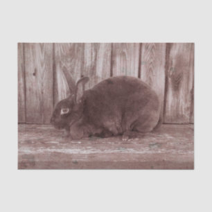 Bunny Rabbit Vintag Brown Oaster Seidenpapier