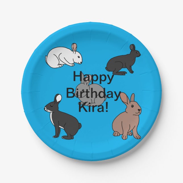 Bunny Rabbits Geburtstag Pappteller (Vorderseite)