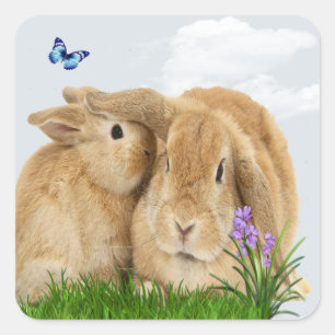 Bunny rabbitt quadratischer aufkleber