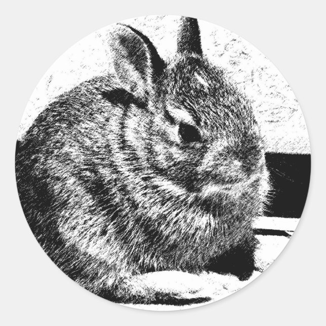 Bunny Runder Aufkleber (Vorderseite)