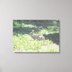 Bunny sauvage photo sur toile