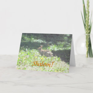 Bunny sauvage "Shalom !" Carte de voeux juive