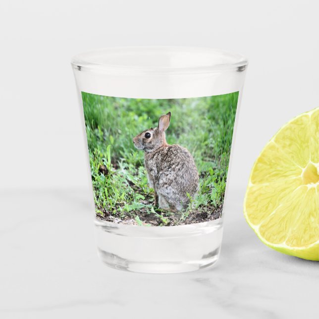 Bunny Schnapsglas (Vorderseite)