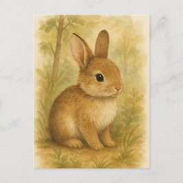 Bunny Young Hare Baby Rabbit Wild Animals Postcard Postkarte