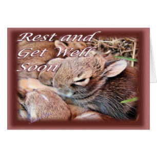 BunnyGetWell-fertigen Sie besonders an