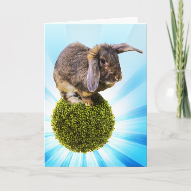 BunnyLuv Gruß-Karte, die Twink kennzeichnet Karte (Vorderseite)