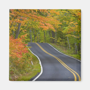 Bunte Ahornbäume im Herbst säumen die landschaftli Magnet