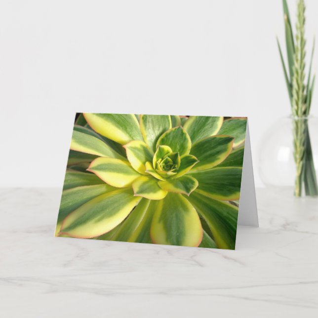 Bunte Anmerkungs-Karte des Succulent-#2 Karte (Vorderseite)