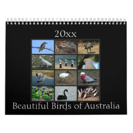 Bunte australische Vögel Kalender