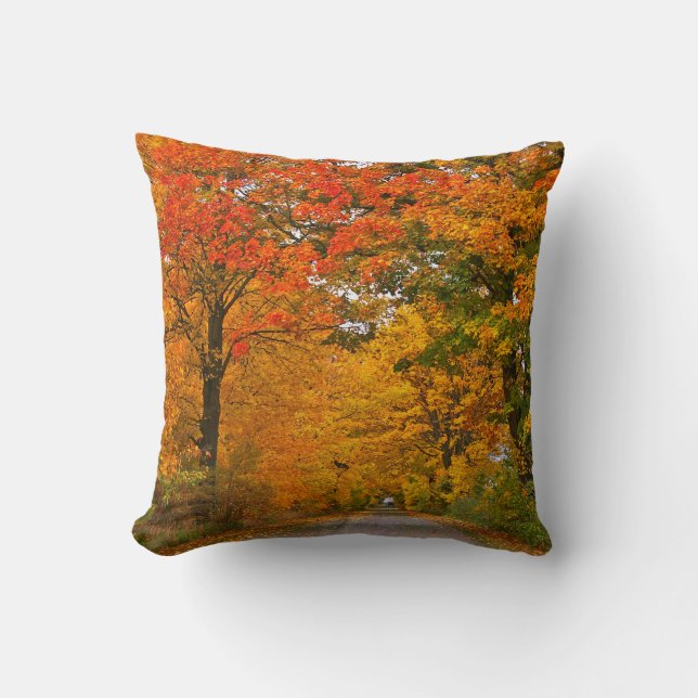 Bunte Bäume des Herbstes Kissen (Vorderseite)