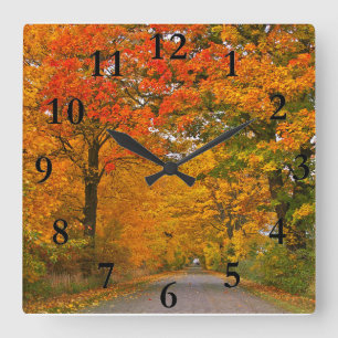 Bunte Bäume des Herbstes Quadratische Wanduhr