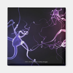 Bunte Beschreibung der Neuronen Magnet