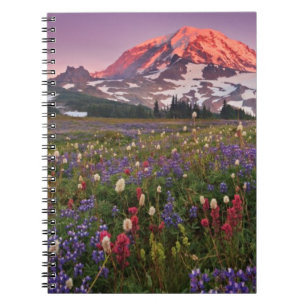 Bunte Blumen im regnerischeren Nationalpark Notizblock