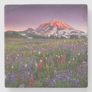 Bunte Blumen im regnerischeren Nationalpark Steinuntersetzer