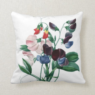 Bunte Blumen Redoute der süßen Erbse Kissen