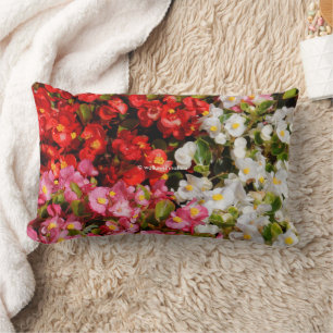Bunte Blumenzusammenstellung aus Wachsbegonien Lendenkissen
