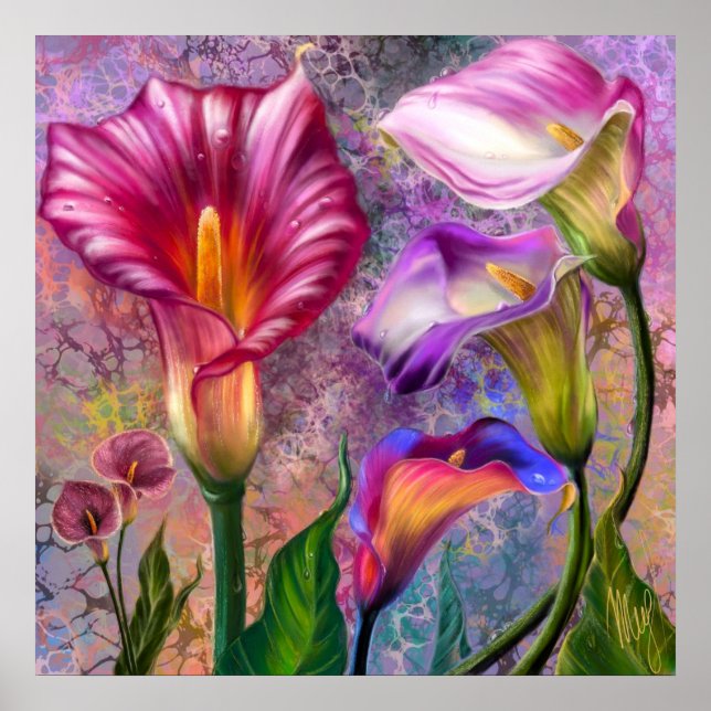 Bunte Calla-Lilien Poster (Vorne)