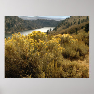 Bunte Colorado-Schlucht-Bürsten-Drucke Poster