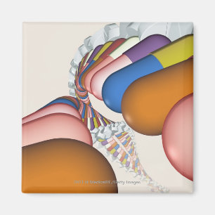 Bunte Darstellung eines DNS-Stranges Magnet