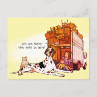 Bunte Dogge Katze Wir Zogen Um Neue Adresse Umzug