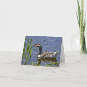 Bunte Ente Notecard Karte