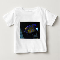 Bunte Fische