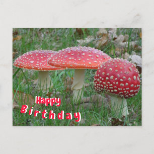 Bunte Fliegenpilze Frohe Geburtstagskarte Postkarte