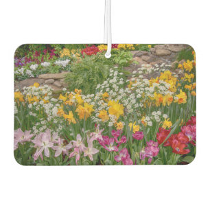 Bunte Frühlingsblumen in voller Blüte Autolufterfrischer