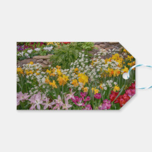 Bunte Frühlingsblumen in voller Blüte Geschenkanhänger