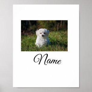 Bunte Fügen Sie Ihr Haustier Bild Name Text hinzu Poster