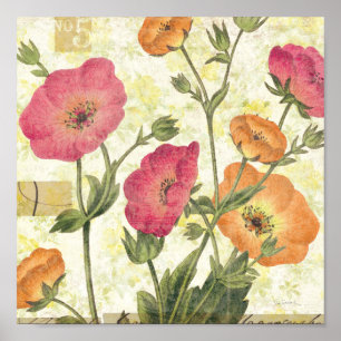 Bunte Gänseblümchen Poster