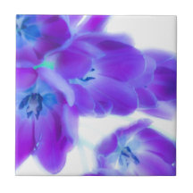 Bunte, girly, romantische, lila Tulpen