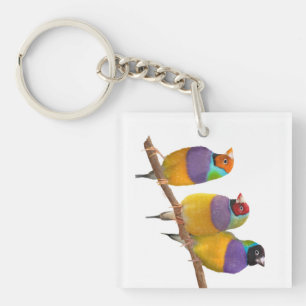 Bunte Gouldian Finke in den Pastellen Schlüsselanhänger