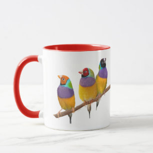Bunte gouldische Finken in Pastellen Tasse