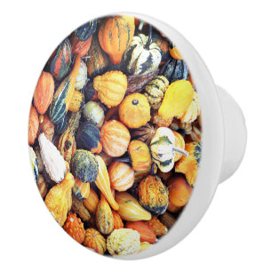 Bunte Gourds C Keramikknauf